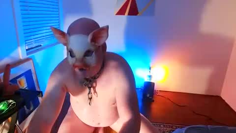 Snapshot of btmcub_sandiego chatting on 8, 2, 2025 bottom freak online show from 8, 2, 2025