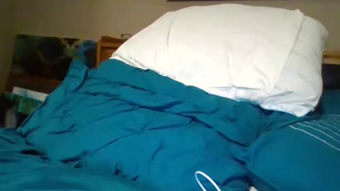 Snapshot of bud42o chatting on 11, 12, 2024 Bud42o online show from 11, 12, 2024