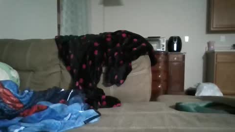 Snapshot of bud42o chatting on 9, 9, 2025 Bud42o online show from 9, 9, 2025