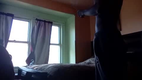 buddylovex online show from 4, 11, 2025