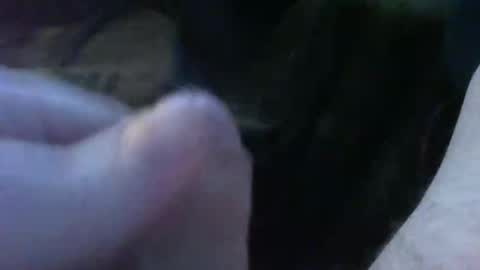 Snapshot of bullemoe chatting on 30, 9, 2025 bullemoe online show from 30, 9, 2025