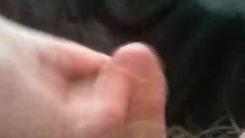 Snapshot of bullemoe chatting on 2, 10, 2025 bullemoe online show from 2, 10, 2025