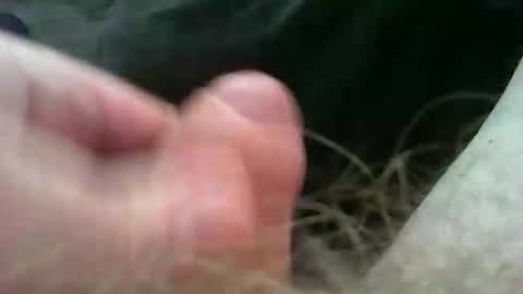 Snapshot of bullemoe chatting on 2, 11, 2025 bullemoe online show from 2, 11, 2025