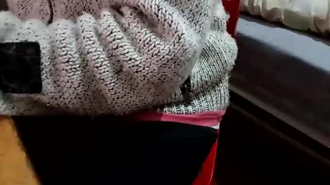 Snapshot of bullspain27266272 chatting on 5, 2, 2025 bullspain27266272 online show from 5, 2, 2025