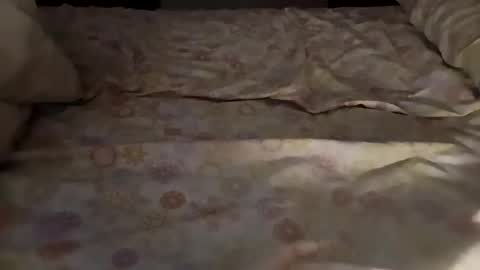 Snapshot of bullspain27266272 chatting on 3, 3, 2025 bullspain27266272 online show from 3, 3, 2025