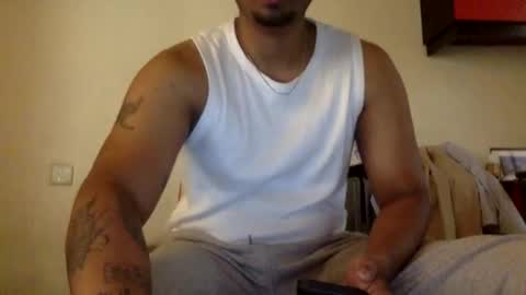 bunny 258 online show from 5, 4, 2026