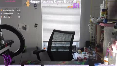 Tokki  bunny  online show from 4, 12, 2024