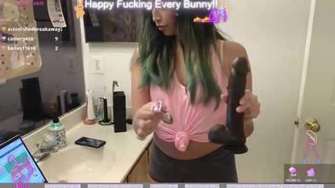 Tokki  bunny  online show from 5, 12, 2024