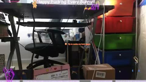 Tokki  bunny  online show from 9, 12, 2024