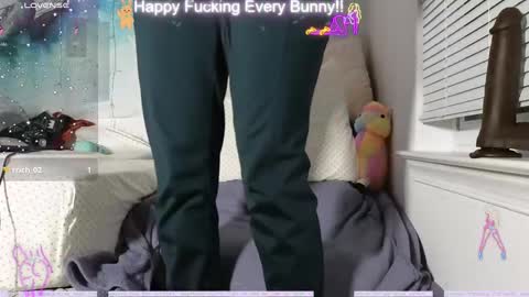 Tokki  bunny  online show from 12, 12, 2024