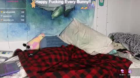 Tokki  bunny  online show from 10, 1, 2025