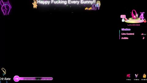 Tokki  bunny  online show from 11, 2, 2025