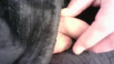 Snapshot of burnside13 chatting on 16, 3, 2026 Hamish online show from 16, 3, 2026