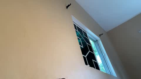 bustyirie online show from 9, 4, 2026