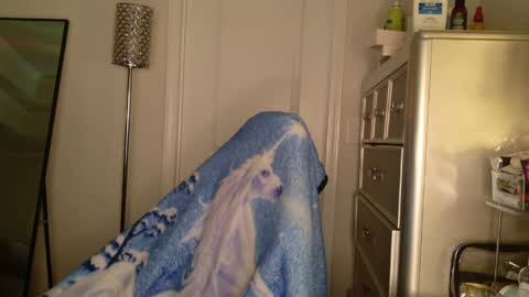 butterfly booty online show from 31, 3, 2026