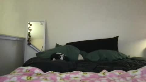 bxbyrussia online show from 16, 4, 2026