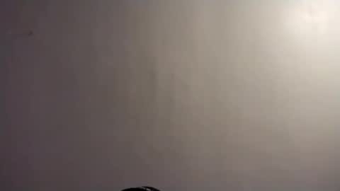 byrdmanblaze88 online show from 27, 4, 2026