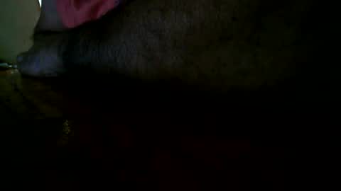 bzxxbzh online show from 24, 4, 2026