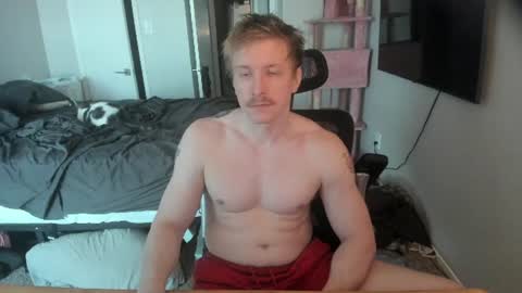 Snapshot of c00ki3m0nstr chatting on 19, 6, 2026 c00ki3m0nstr online show from 19, 6, 2026
