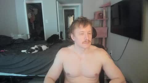 Snapshot of c00ki3m0nstr chatting on 30, 6, 2026 c00ki3m0nstr online show from 30, 6, 2026