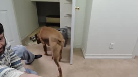 c2cmee online show from 26, 12, 2024