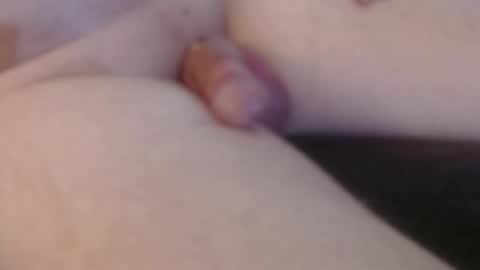 camcplinaz online show from 31, 3, 2026