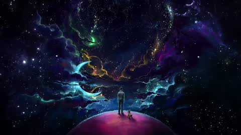 Lily online show from 7, 12, 2024