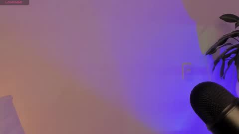 camila   online show from 1, 3, 2025