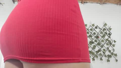 Snapshot of camihotboobs chatting on 29, 1, 2025 camihotboobs online show from 29, 1, 2025