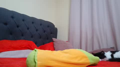 Snapshot of camilabrown23 chatting on 9, 2, 2025 Camila Browm online show from 9, 2, 2025