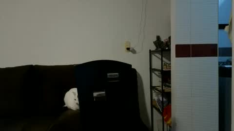 Snapshot of camiloex chatting on 15, 10, 2025 Camilo online show from 15, 10, 2025