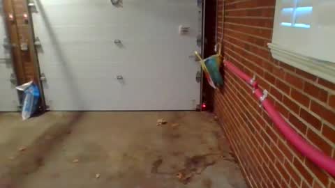 Snapshot of cammyman6900 chatting on 9, 12, 2024 cammyman6900 online show from 9, 12, 2024