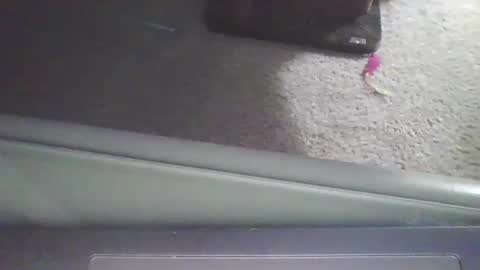 Snapshot of cammyman6900 chatting on 11, 9, 2025 cammyman6900 online show from 11, 9, 2025