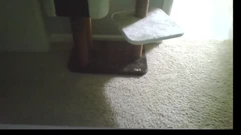 Snapshot of cammyman6900 chatting on 21, 9, 2025 cammyman6900 online show from 21, 9, 2025