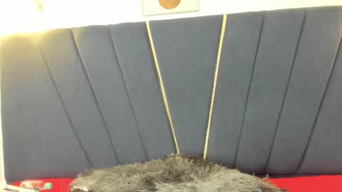 candy18_ho online show from 11, 2, 2026