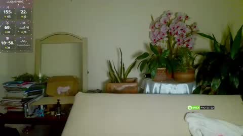 Candy - online show from 13, 1, 2025