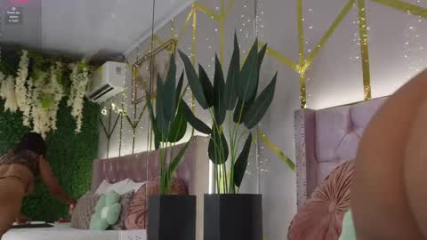 canela_montiel online show from 3, 6, 2026