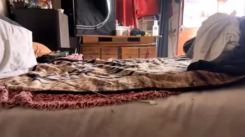 Snapshot of capacon69 chatting on 28, 11, 2025 Bbc always ready balls insta bmac capone online show from 28, 11, 2025