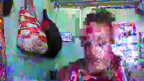 carinesexy69 online show from 20, 1, 2025