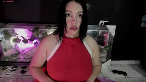 carolina dorothy online show from 1, 2, 2026