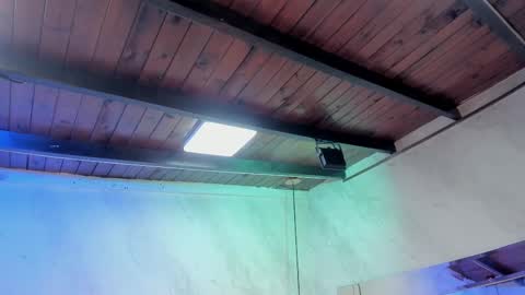 Carolina online show from 1, 2, 2026