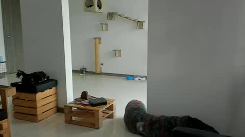 Snapshot of cassjimenez chatting on 22, 3, 2026 Cassandra online show from 22, 3, 2026