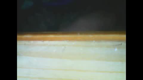 Snapshot of castells chatting on 15, 12, 2025 castells online show from 15, 12, 2025