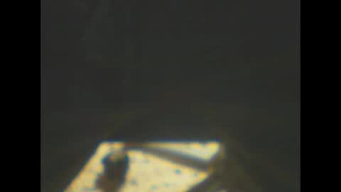 Snapshot of castells chatting on 8, 1, 2026 castells online show from 8, 1, 2026