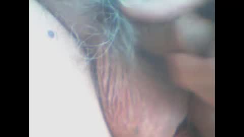 Snapshot of castells chatting on 11, 4, 2026 castells online show from 11, 4, 2026