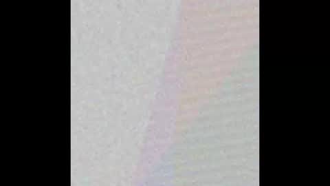 Bakewell Trixie  online show from 15, 1, 2026