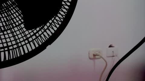 Snapshot of catalaia_stomm chatting on 17, 1, 2025 catalaia_stomm online show from 17, 1, 2025