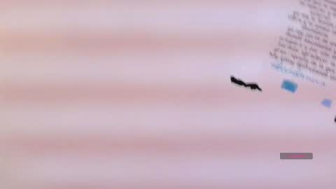 Cataleya online show from 1, 12, 2025