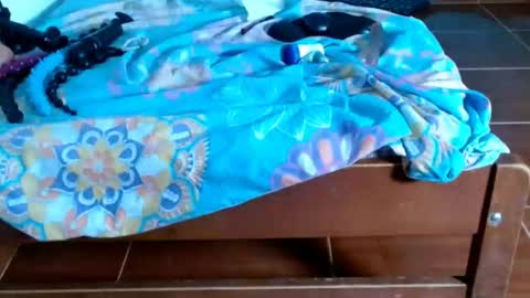 cataleya online show from 6, 1, 2026