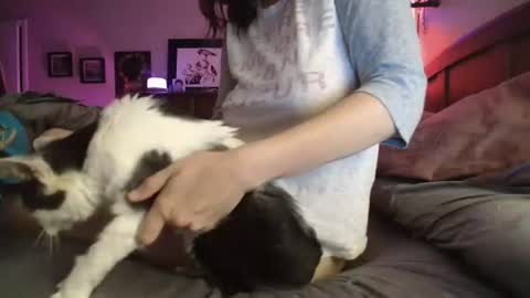 Snapshot of catnips_cabaret chatting on 10, 7, 2026 some call me djcatnips some call me CC but i love it when you call me miss catnips online show from 10, 7, 2026